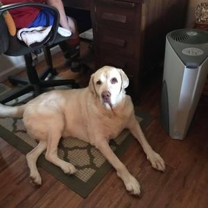 Meet your Posher, Tamara